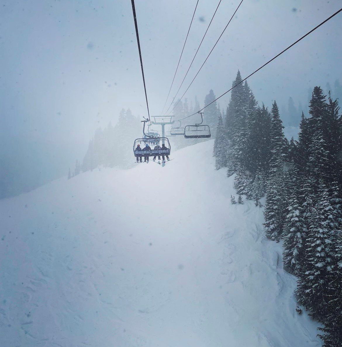 sitepic2 Ski lift carrying people above a snowy slope surrounded by pine trees on a foggy day.